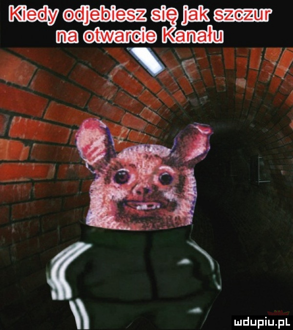 ym twa rwie da i   r