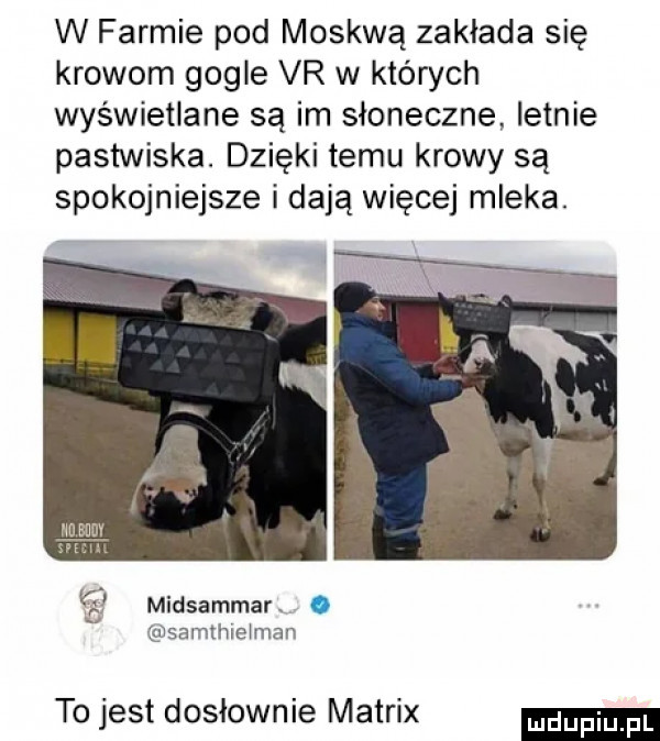 w farmie pod moskwą zakłada się krowom gogle vr w których wyświetlane są im słoneczne letnie pastwiska. dzięki temu krowy są spokojniejsze i dają więcej mleka. midsammar samlhieiman to jest dosłownie matrix