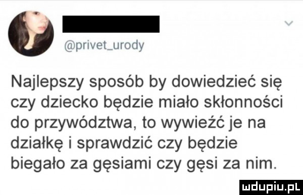 pi ivglufody najlepszy sposób by dowiedzieć się czy dziecko będzie miało skłonności do przywództwa to wywieźć je na działkę i sprawdzić czy będzie biegało za gęsiami czy gęsi za nim. ludu iu. l