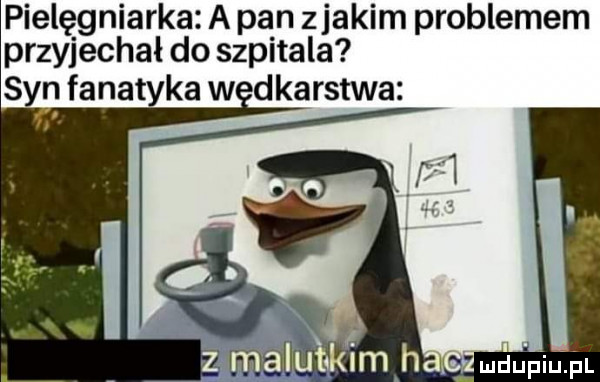 pielęgniarka. a pan zjakim problemem przyjechał do szpitala s n fanatyków dkarstwa luduiu l