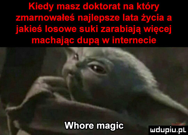 kiedy masz doktorat na który zmarnowałeś najlepsze lata życia a jakieś losowe suki zarabiają więcej machając dupą w internecie. fl i. a whore macic pnia