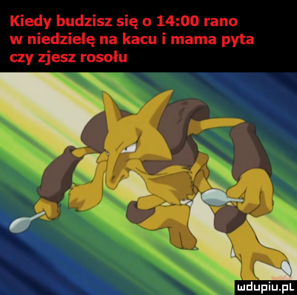 kiedy budzisz się o       rano w niedzielę na kacu i mama pyta czy zjesz rosołu   l