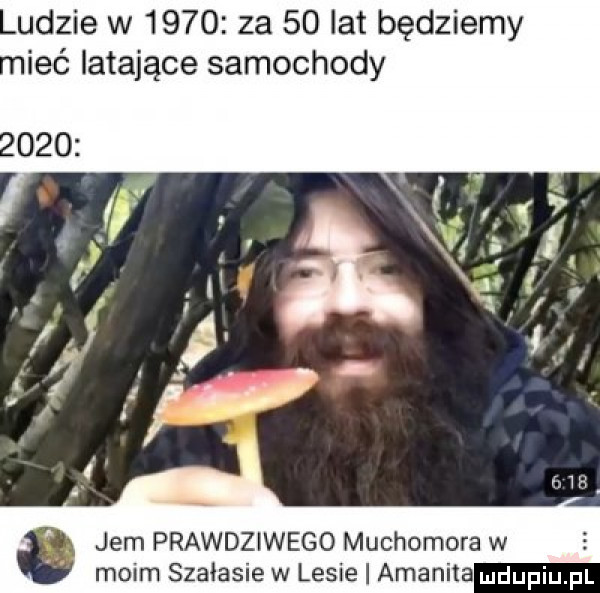 udzie w      za    lat będziemy imć latające samochody jem prawdziwego muchomora w moim szałasie w lesie amonita duciu p