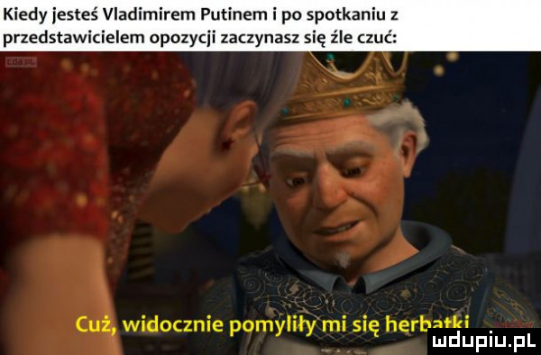 kiedy jesteś vladimirem putinem i po spotkaniu z przedstawicielem opozycji zaczynasz się źle czuć cl. widocznie pomyliły mi się herbadapiu f