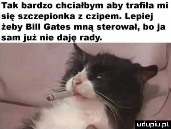tak bardzo chciałbym aby trafila mi się szczepionka czipem. lepiej żeby bill gates mną sterował boja sam już nie daję rady