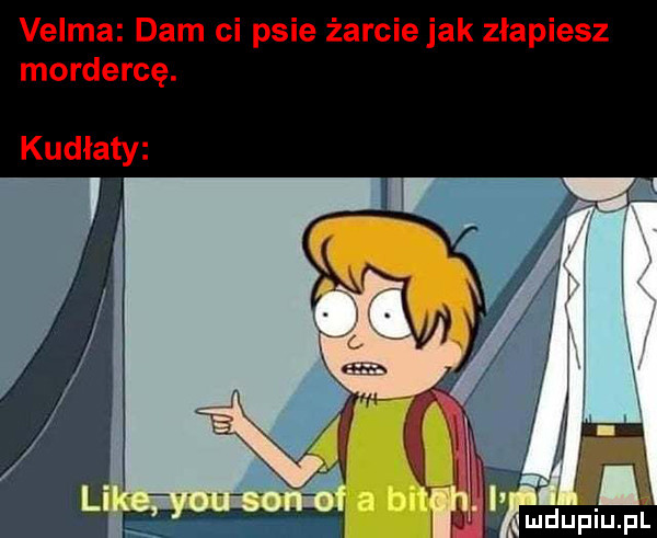 velma dam ci psie żarcie jak złapiesz mordercę. kudłaty