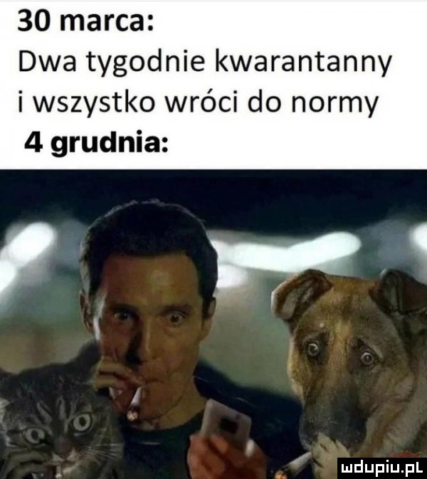 marca dwa tygodnie kwarantanny i wszystko wróci do normy   grudnia r