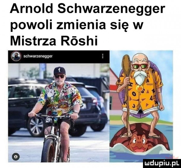 arnold schwarzenegger powoli zmienia się w mistrza róshi