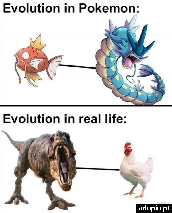 evolution in pokemon evolution in real lice ludu iu. l