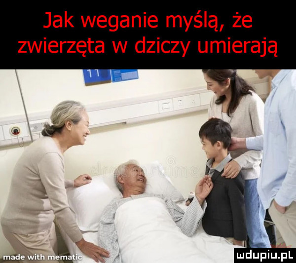 jak weganie myślą że zwierzęta w dziczy umierają v mdﬁpiupl