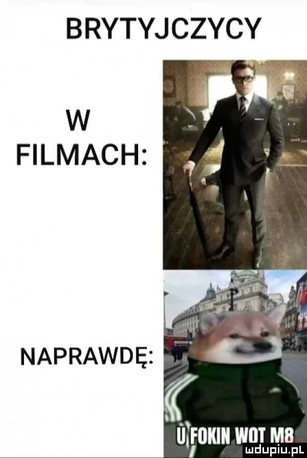 brytyjczycy filmach naprawdę unum wm ma muiup pl