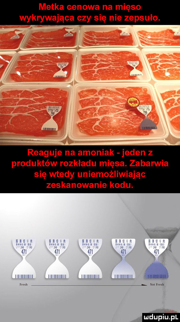 metka cenowa na mięso wykrywająca czy się nie zepsuło. reaguje na amoniak jeden z produktów rozkładu mięsa. zabarwia się wtedy uniemożliwiając zeskanowanie kodu.   i    mi   i mi hiiiii hhhi hihh hhhi mi ludu iu. l