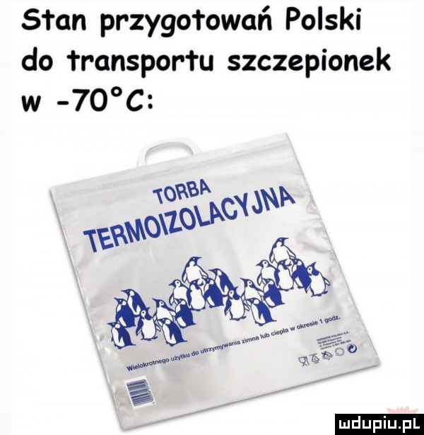 stan przygo rower l polski do transportu szczepionek w    c ludu iu. l