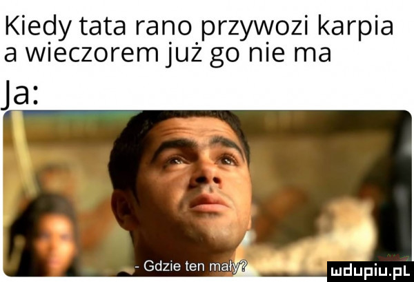 kiedy tata rano przywozi karpia a wieczorem już go nie ma