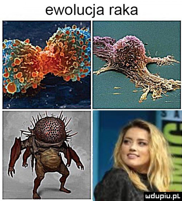 ewolucja raka