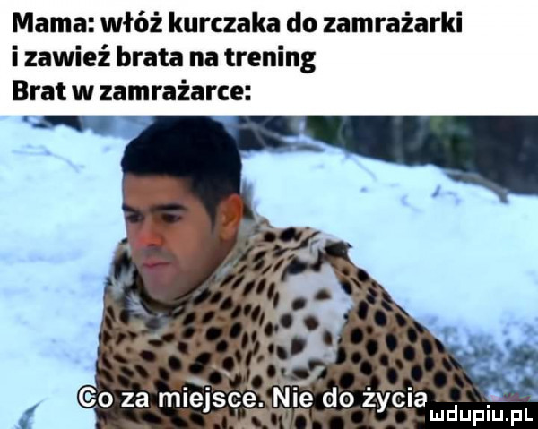 mama włóż kurczaka do zamrażarki i zawieź brata na trening brat w zamrażarce go zaamiejsłce. nie do życia  . l mduplu pl