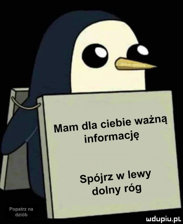 mam dla ciebie ważną informację i spójrz w lewy dolny róg papa na hiob imdupiupl