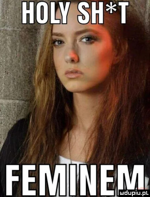 msw feiveitn em
