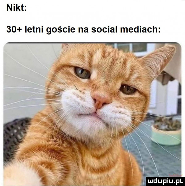 nikt    letni goście na socjal mediach