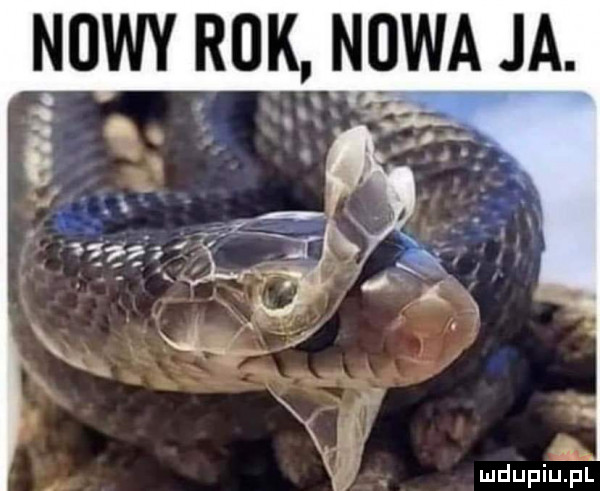 nowy r-k nowa ja. mdupiupi