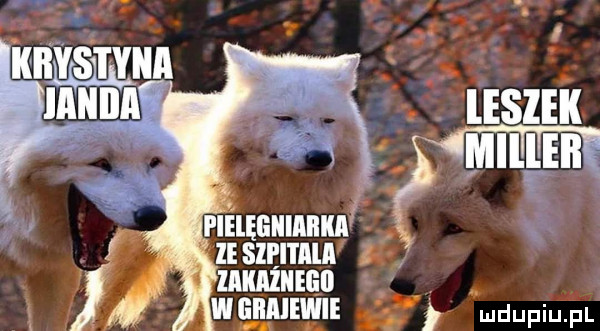 pielęgniarka ie sllfl l ﬂlﬂ lu