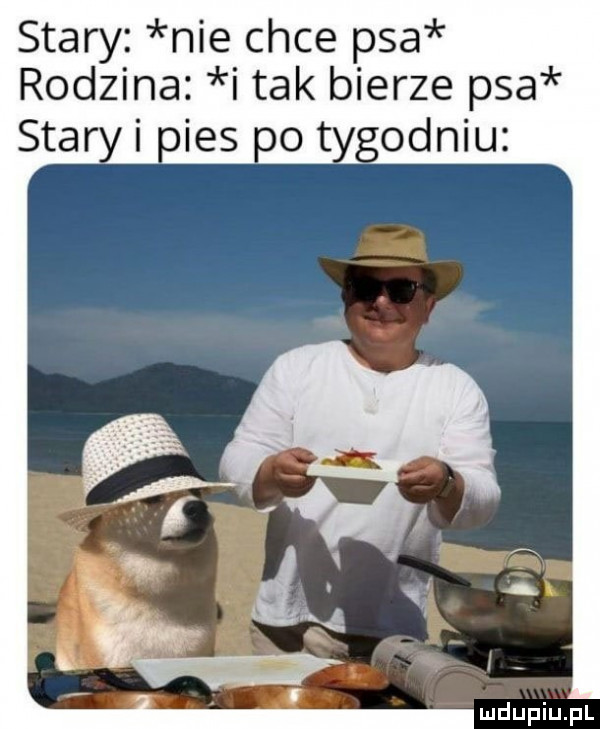 stary nie chce psa rodzina i tak bierze psa saa oo tygodniu