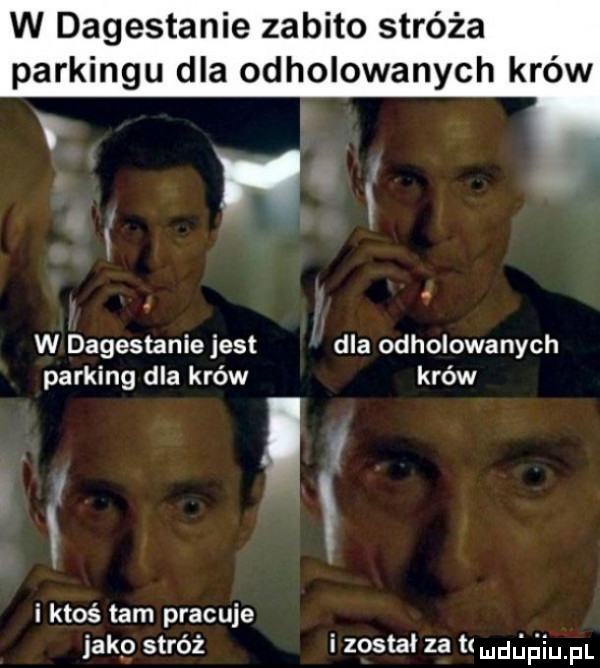 w dagestanie zabito stróża parkingu dla odholowanych krów w dagestanie jest dla odholowanych parking dla krów krów x i ktoś tam pracuje jaap stróż i został za t udńńiupl