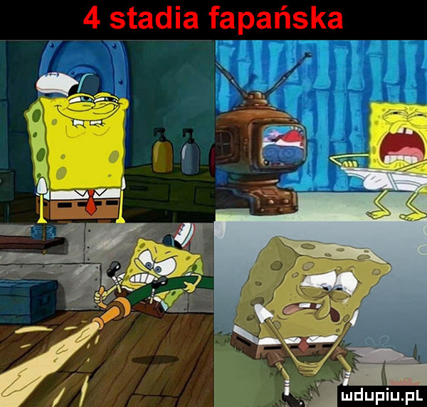 stadia fapańska