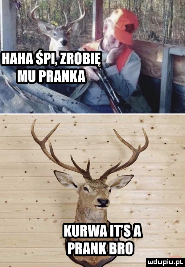 ai a magm. mu p abaka rx ludu iu. l