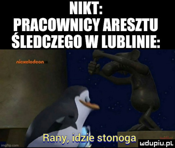 nikt pragiiwiiigy areszt śleiigzegii w lllbliiiie nin lad sthoga