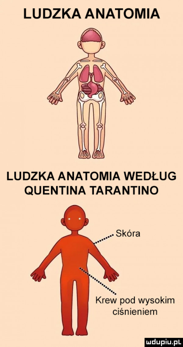 ludzka anatomia ludzka anatomia według quentina tarantino krew pod wysokim ciśnieniem ludu iu. l