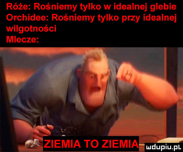 róże rośniemy tylko w idealnej glebie orchidee rośniemy tylko przy idealnej wilgotności mlecze azieiqviia to ziemia mam