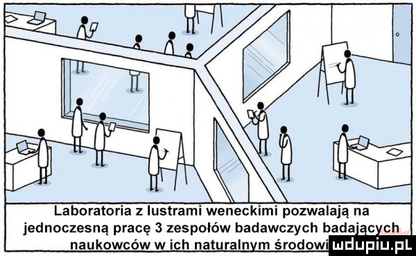 w laboratoria z iustrami weneckimi pozwalają na jednoczesną pracę   zespołów badawczych bada c ch naukowcóww ich na raln m środowi