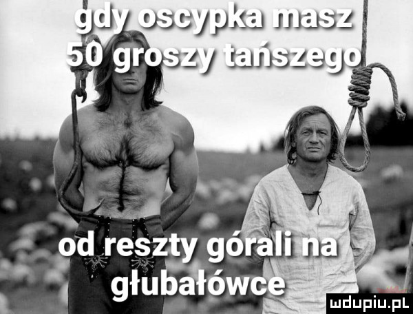Obrazek