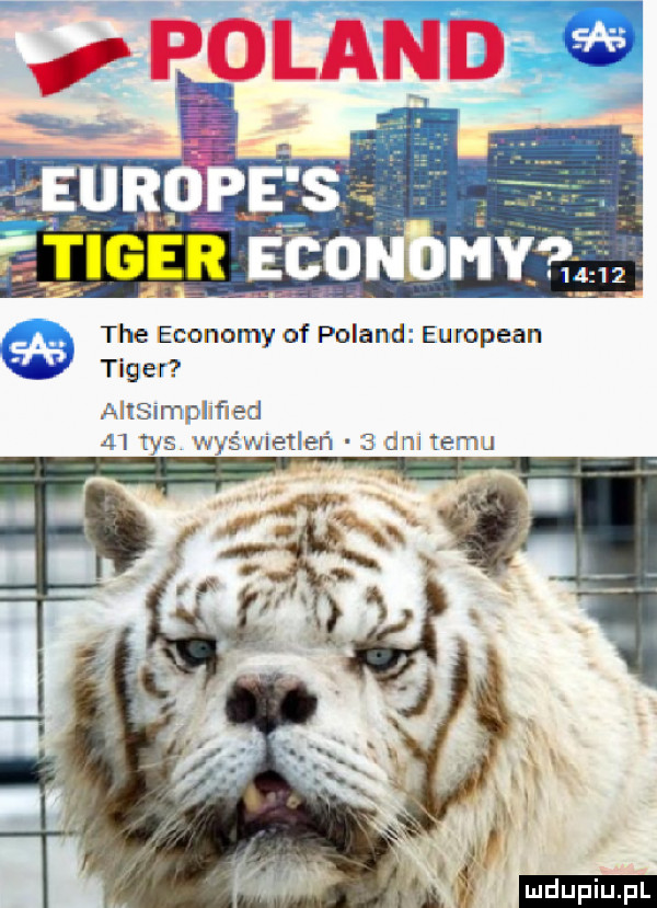 e s jff tlééﬁ rem        tee ekonomy of poland european tiger ahsimplmed    tys wyświetleń   dm temu ludu iu. l