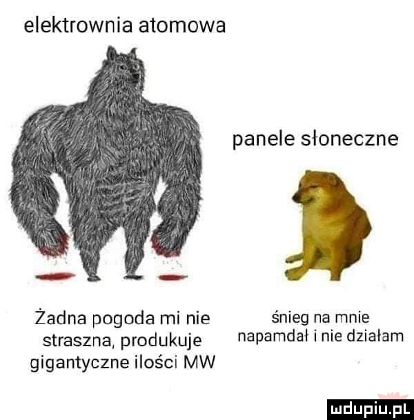 elektrownia atomowa panele słoneczne żadna pogoda mi nie śnieg na mnie straszną produkuje napamdał i nie dzialam gigantyczne ilości mw ludu iu. l