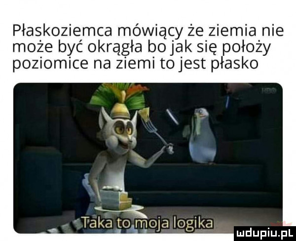 płaskoziemca mówiący że ziemia nie może być okrągła bo jak się położy poziomice na ziemi to jest płasko h if take to moja logika