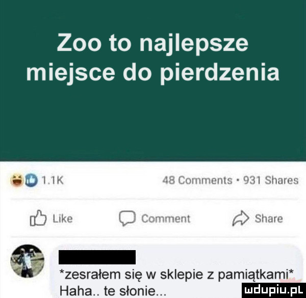 zoo to najlepsze miejsce do pierdzenia ﬁl l ik     commenlf     skarm db luke c comment a stare zesrałem się w sklepie z pamiatkami haba. te słonie