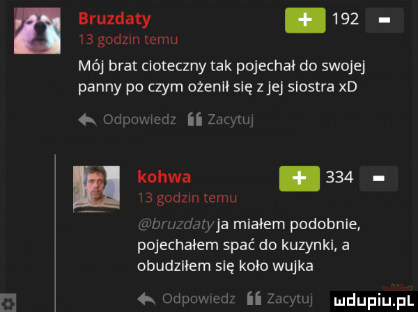 bruzdaty.        godzin temu mój brat cioteczny tak pojechał do swojej panny po czym ożenił się ziej siostra xd     m kotwa.        godom temu faz ja miałem podobnie pojechałem spać do kuzynki a obudziłem sie l koło wujka     i