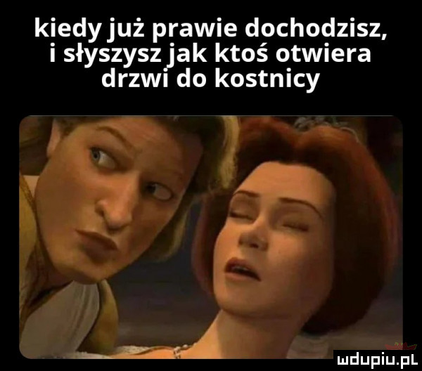 kiedyjuż prawie dochodzisz i słyszyszjak ktoś otwiera ergi do kostnicy d a