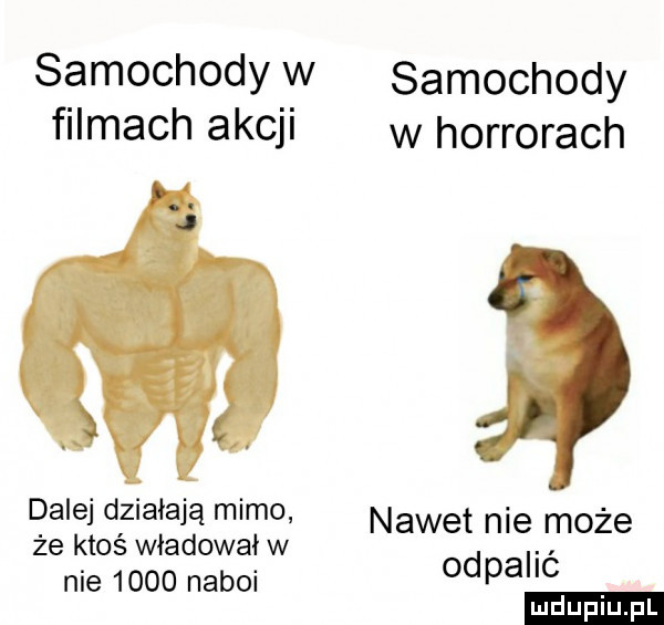 samochody w filmach akcji dale działają mimo że ktoś władował w nie      naboi samochody w horrorach nawet nie może odpalić ludu iu. l