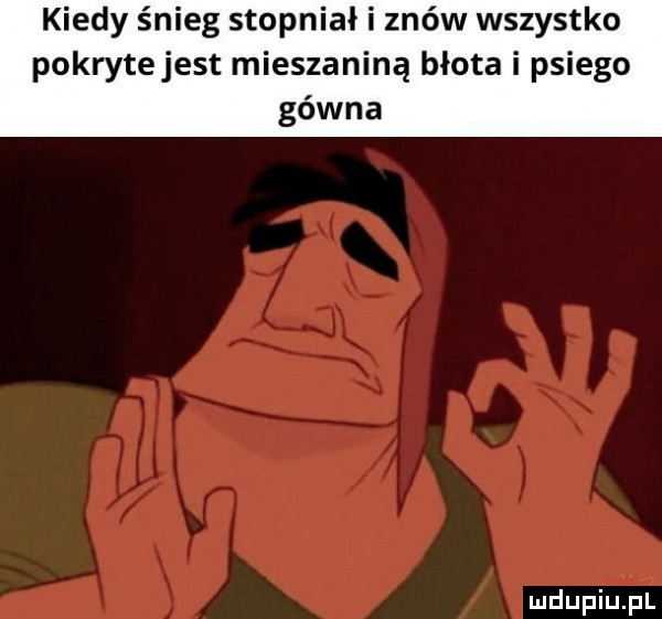 kiedy śnieg stopniał i znów wszystko pokryte jest mieszaniną błota i psiego gówna