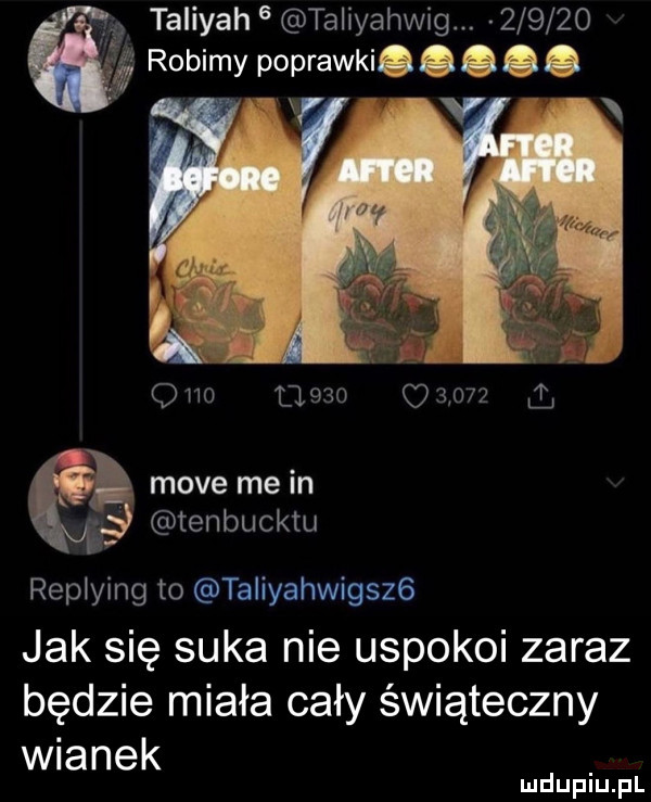 taliyah   taliyahwig.        robimy poprawkisagaa ono admo        moce me in     ten bu cetu replying to taliyahwigszg jak się suka nie uspokoi zaraz będzie miała cały świąteczny wianek mduplu pl