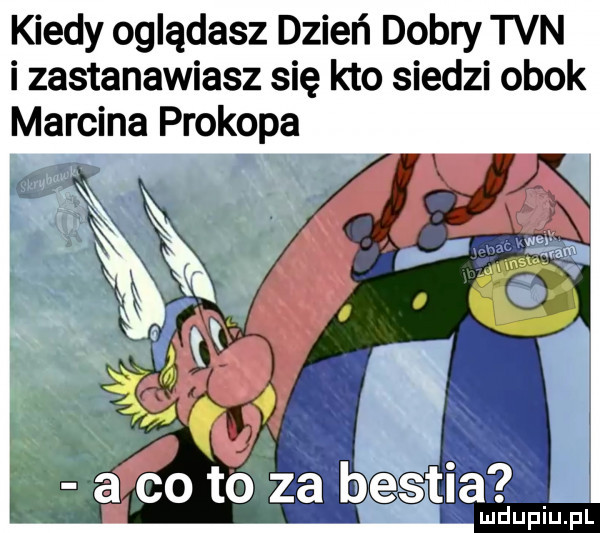 kiedy oglądasz dzień dobry tvn i zastanawiasz się kto siedzi obok marcina prokopa co t  za bestia