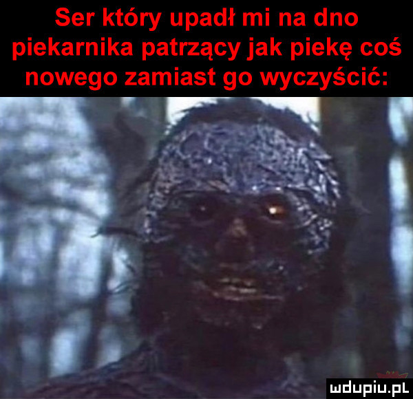 ser który upadł mi na dno piekarnika patrzący jak piekę coś nowego zamiast go wyczyścić