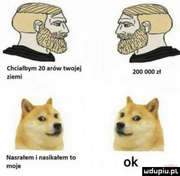 chcialbym    arów tfuj j xinmi ź nasriłnm i nasiliłem to moja   k ludu iu. l