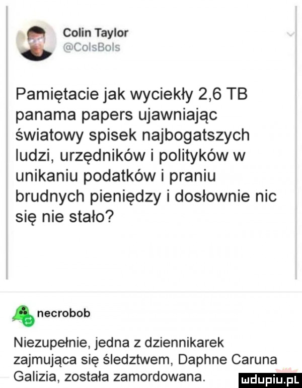 colin taylor coisboif pamiętacie jak wyciekły     tb panama popers ujawniając światowy spisek najbogatszych ludzi urzędników i polityków w unikaniu podatków i praniu brudnych pieniędzy i dosłownie nic się nie stało necrobob niezupełnie jedna z dziennikarek zajmująca się śledztwem daphne carina gaiizia została zamordowana