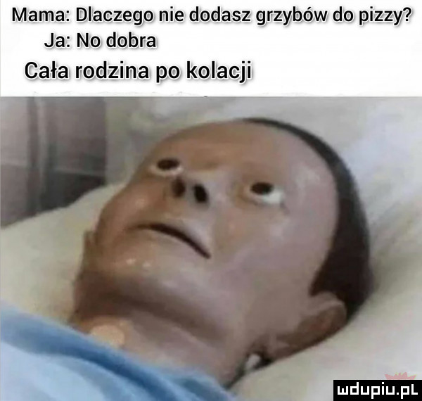 mama dlaczega mie dodasz grzybów do a z. ja n   dobra cała nędzima