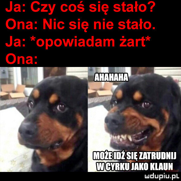 mam      mm ici illﬂllll ludupiu. pl