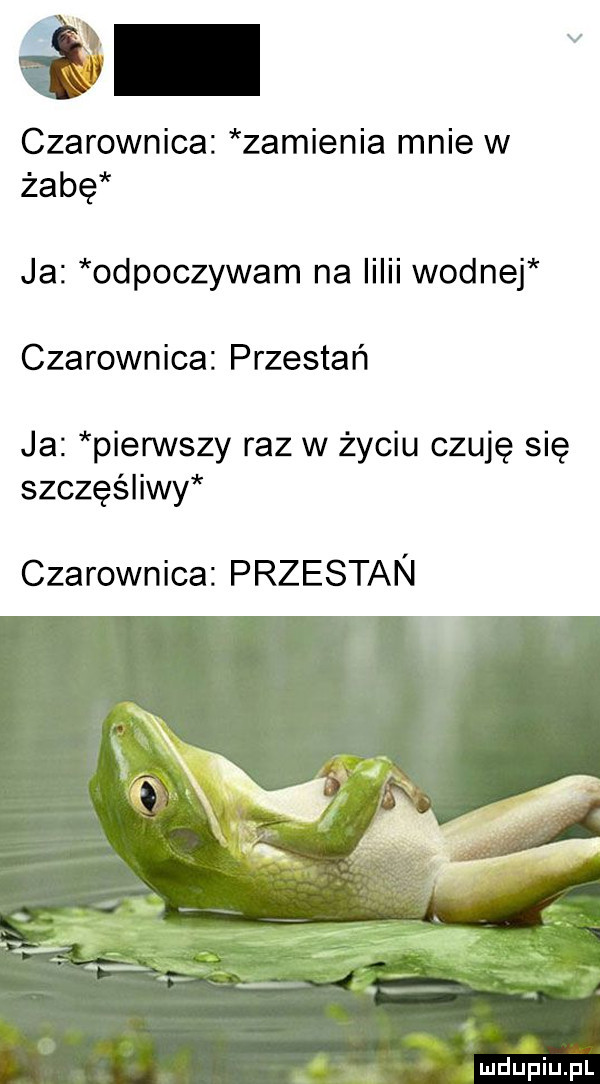 b v czarownica zamienia mnie w żabę ja odpoczywam na i ii wodnej czarownica przestań ja pierwszy raz w życiu czuję się szczęśliwy czarownica przestan